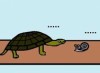 當烏龜跟蝸牛在討論誰最慢的時候，他出現了．．．．