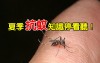 到底為什麼容易被蚊子叮夏季抗蚊知識停看聽