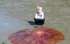 小男孩在沙灘上看到「紅色圓形物體」興奮想摸  爸爸靠近一看嚇壞...馬上阻攔