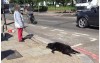 在路上看到婦女牽著兩隻狗，沒想到仔細一看，越來越不對勁...上前詢問真的嚇歪了！