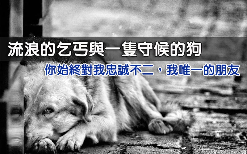 乞丐與狗：感動數萬網友的真實故事．．真心希望你看完它！！ 