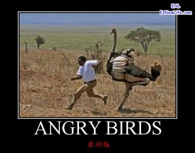 這一版的Angry Bird，你肯定沒玩過。