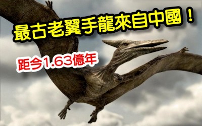 《科學小知識》新發現  最古老翼手龍來自中國    距今1.63億年～