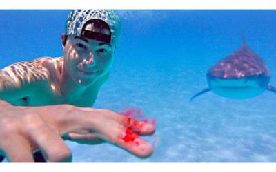 網友問「鯊魚聞到血」真的完蛋嗎？youtuber冒險實測...最後結果太震驚：怕爆！